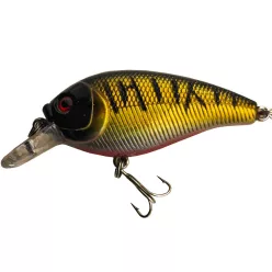   Frenetic Bomber//Csíkos arany-fekete 6,5 cm 10 g crankbait wobbler