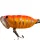 Frenetic Gruber narancs 4 cm 4 g popper