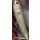 Frenetic Pencil Limitált Kiadás 5 színkód 11,5 cm 15 g stickbait