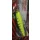 Frenetic Alkony Limitált Kiadás 11,5 cm 13 g minnow wobbler