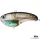 Frenetic FatFish REAL 8,1 cm 60 g jerkbait