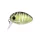 PredatorZ UL Bug fekete-zöld 3,2 cm 3,5 g úszó rovarutánzatú wobbler