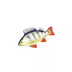 EnergoTeam sügér alakú párna, 50 cm
