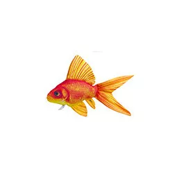 EnergoTeam aranyhal alakú párna, 50 cm