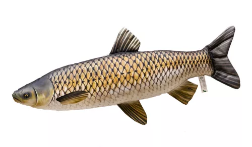 EnergoTeam amur alakú párna, 75 cm
