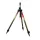 Carp Expert Method Tripod