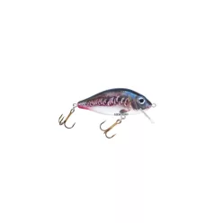   Hester Prussian Carp 0,5–1,5 m 117 5 cm 6 g crankbait wobbler