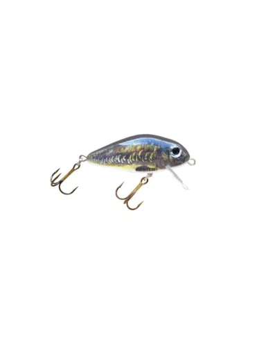 Hester Hornet 0,6–0,9 m 117 3 cm 2 g crankbait wobbler