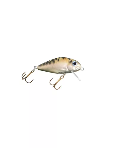 Hester Hornet 0,6–0,9 m 536 3 cm 2 g crankbait wobbler