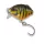 IRON TROUT Crank FT 3cm / 2,6g / floating