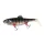 Fox Rage Giant Replicant Wobble Giant Wobble UV Young sügér 27 cm swimbait