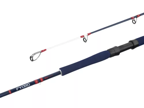 Delphin FYORD BigBOAT 220 cm 300–400 g 2 részes harcsázó horgászbot