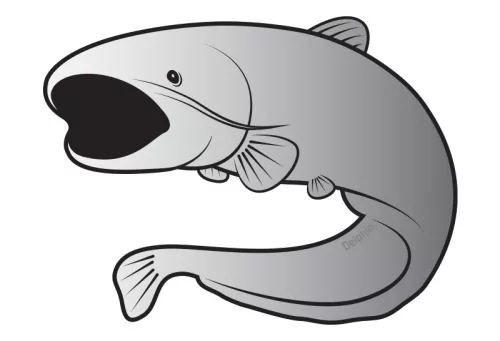 Delphin SILVER harcsamotívumos matrica, 7 × 5 cm