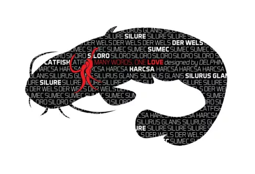 Delphin WORDS harcsamotívumos matrica, 92 × 55 mm