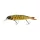 Savage Gear 4PLAY CL Lowrider csuka 13 cm 21 g többrészes wobbler