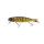 Savage Gear 4PLAY CL Liplure csuka 19 cm 52 g többrészes wobbler