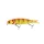 Savage Gear 4PLAY CL SWIM N JERK jerkbait GLD AMB 25 cm 107 g jerkbait