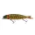 Savage Gear 4PLAY CL SWIM N JERK jerkbait csuka 25 cm 107 g jerkbait