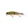 Savage Gear 4PLAY CL Liplure Drt DRT bodorka 13 cm 21 g többrészes wobbler