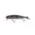 Savage Gear 4PLAY CL Liplure HERRING 19 cm 52 g többrészes wobbler